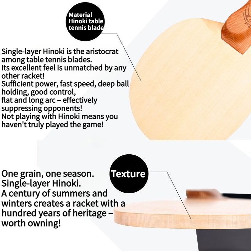 Shenlongmu 1-Ply Hinoki Table  - Table Tennis In Chinese recension och pris